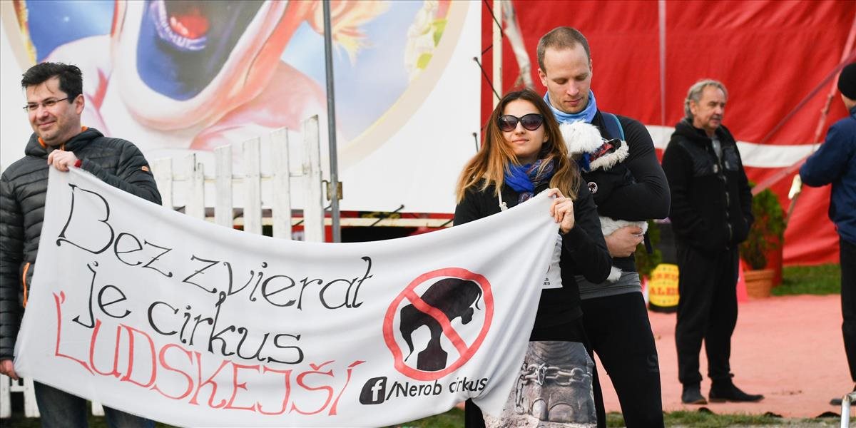 Trnavčania chystajú protest proti týraniu zvierat v cirkusoch