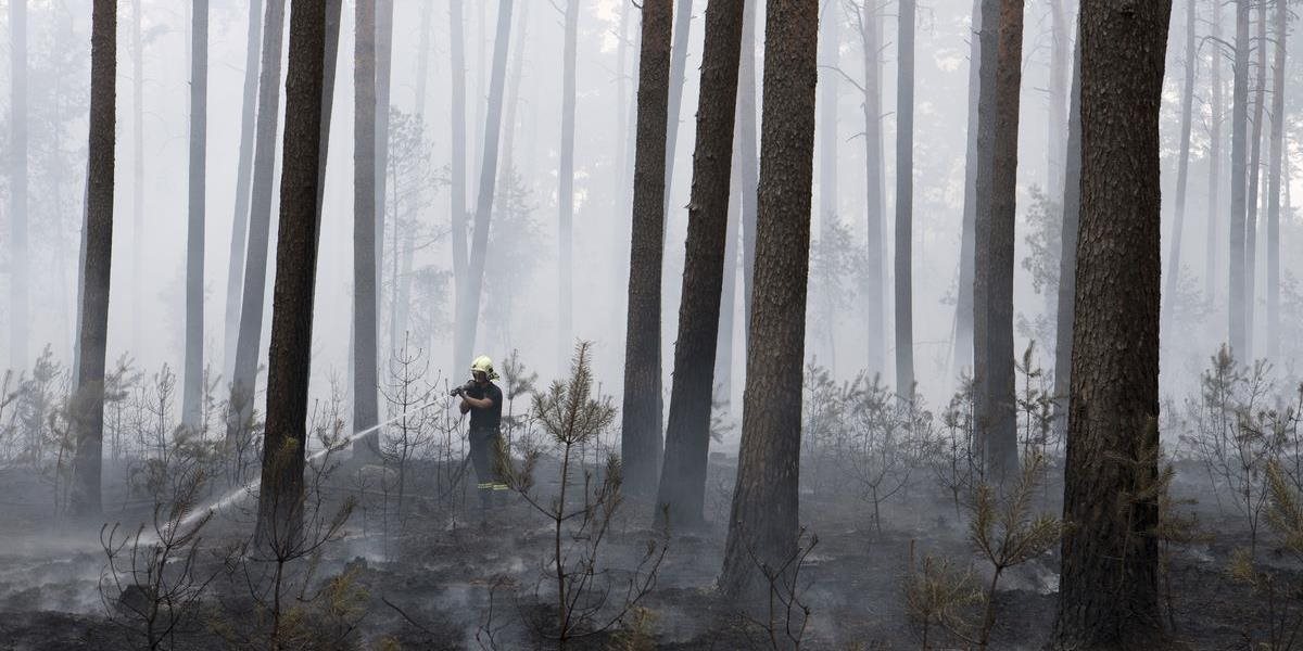 Lesný požiar v nemeckom Brandenbursku dohášajú, nový sa rozhorel