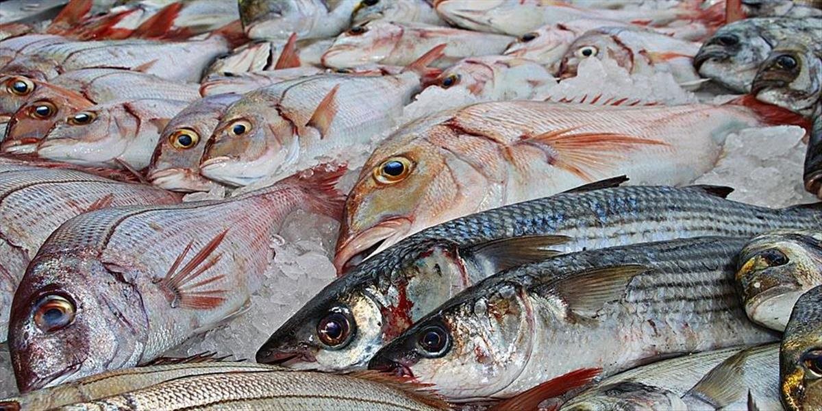 Firma predávajúca ryby sa znížila k takejto nekalej praktike: Toto si dovolili!