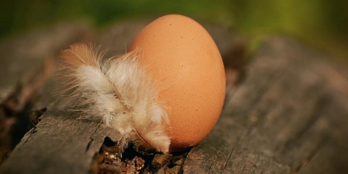 Zamysleli ste sa niekedy nad filozofickou otázkou, či bolo skôr vajce alebo sliepka? Vedci to vraj konečne rozlúskli!