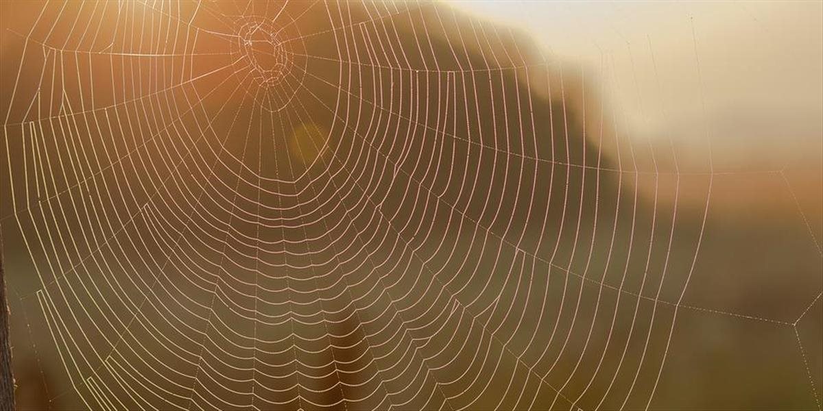FOTO + VIDEO Ak máte strach z pavúkov, sem teraz radšej nechoďte: Článkonožce pokryli 300 metrov dlhú pláž hustou pavučinou!