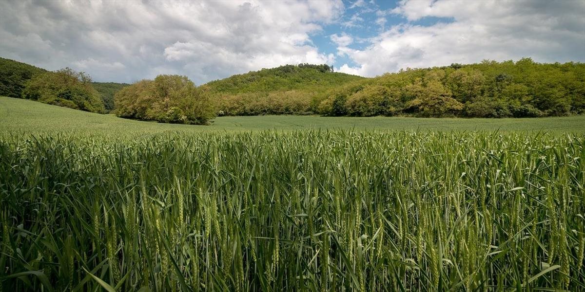 Slovenské pôdohospodárstvo prežíva jednu z najväčších kríz