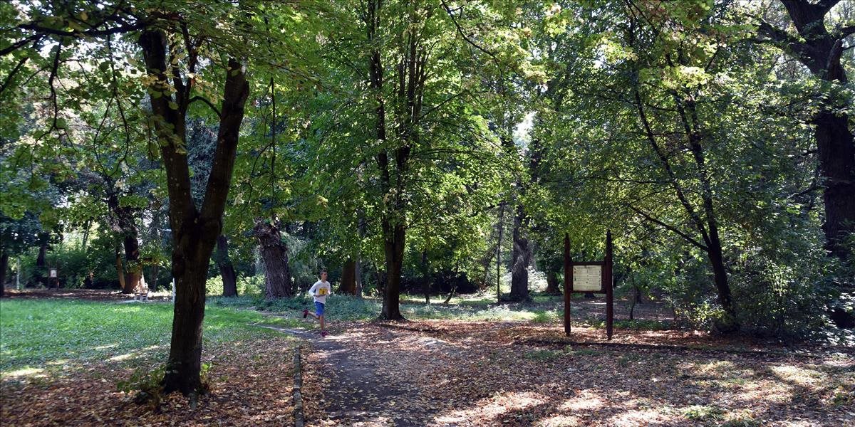 Parchovany: Chránený lesný park s 300-ročnými dubmi slúži aj na výučbu biológie