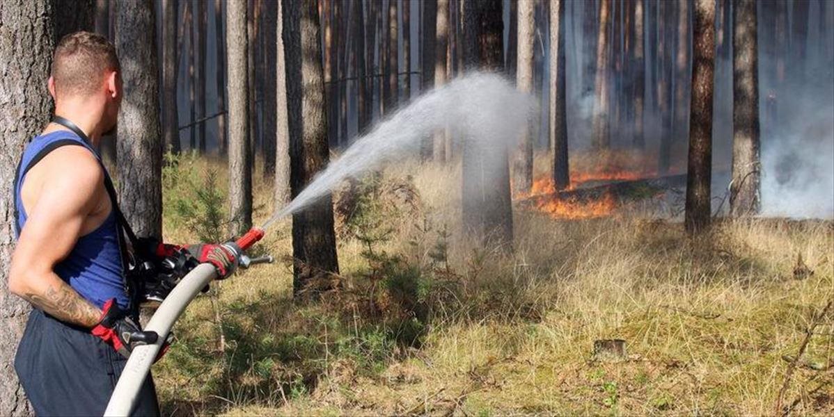 Hasičský zbor zasahuje pri požiari lesného porastu nad Hnúšťou