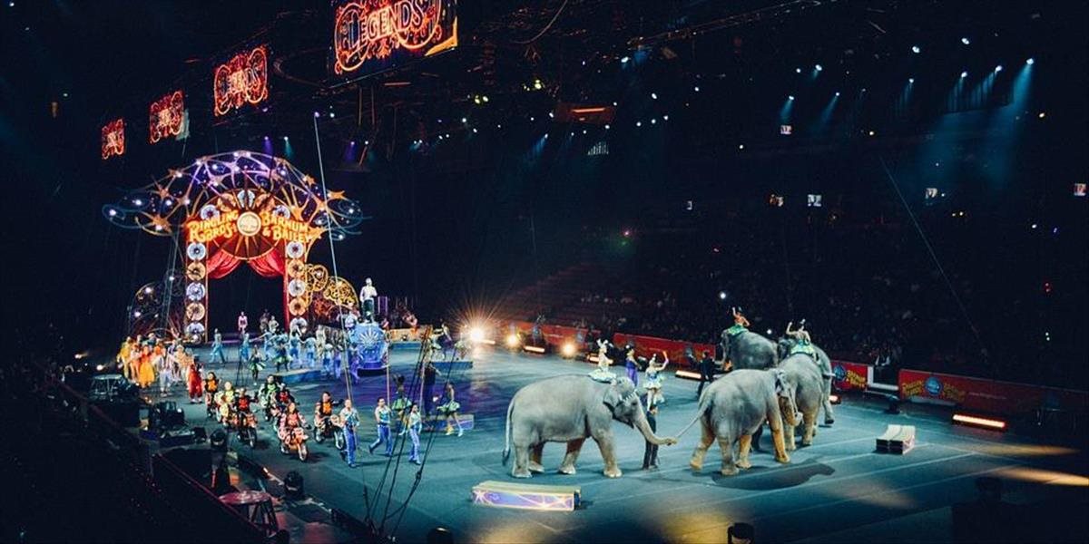 Česká republika chce viac chrániť zvieratá: Plánujú zakázať ich vystupovanie v cirkusoch!
