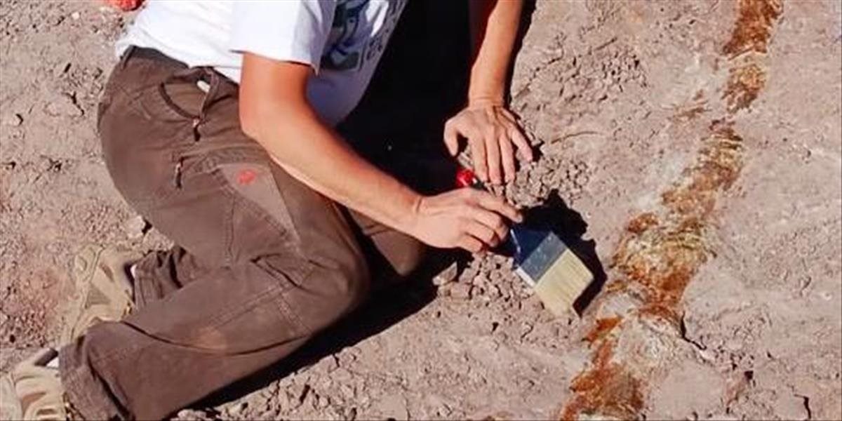 VIDEO Paleontológovia objavili v Argentíne doteraz neznámy druh dinosaura
