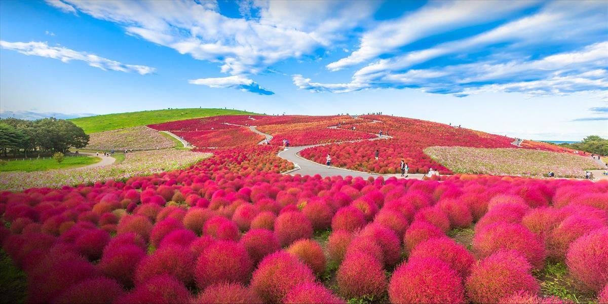 VIDEO Japonský park je na jeseň ako vymaľovaný: Celý je zahalený do červena