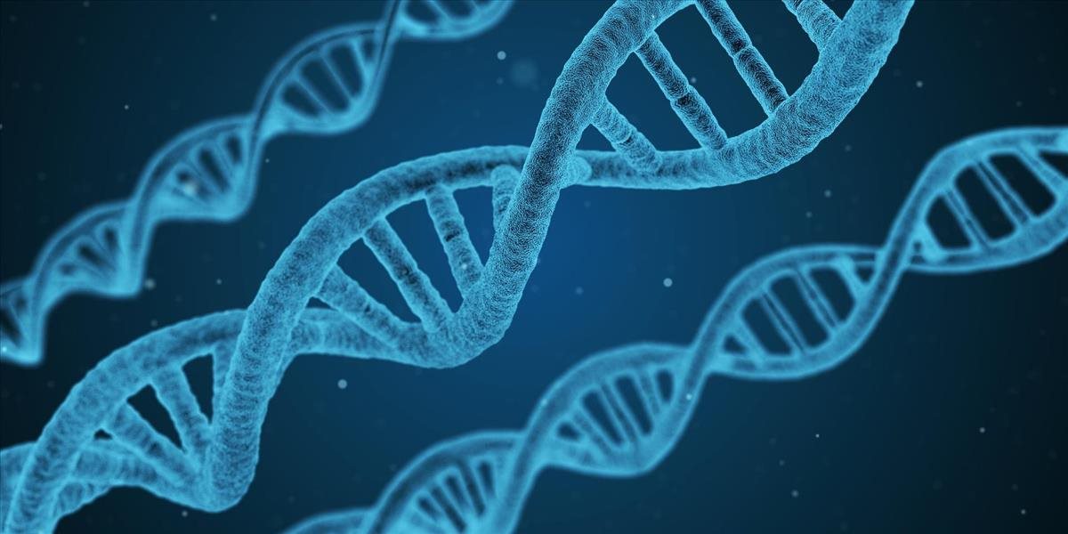 Genetické zmeny ľudských embryí sú zase o niečo reálnejšie