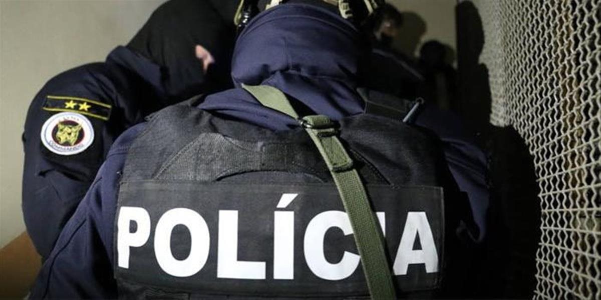 Slovenskí policajti prekazili obchod so zbraňami dvom Dánom