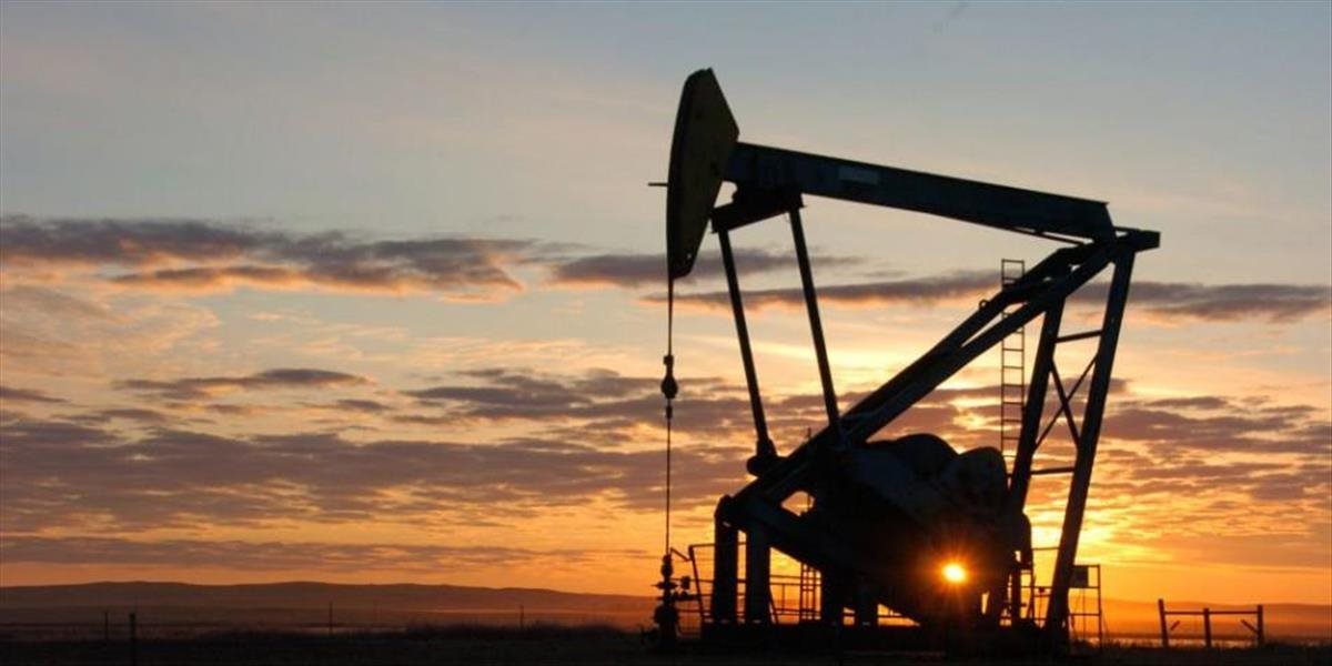 Rusko začalo čo najrýchlejšie znižovať produkciu ropy, hovorí šéf energetiky