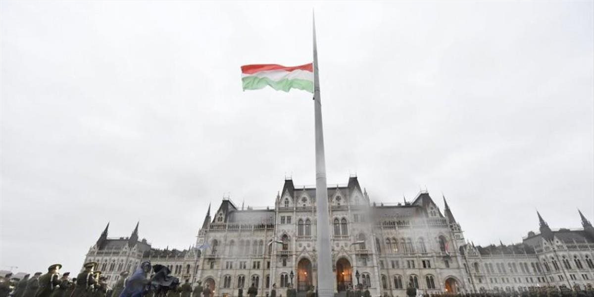 Schválili zákon o účasti Maďarov žijúcich mimo EÚ na voľbách do EP