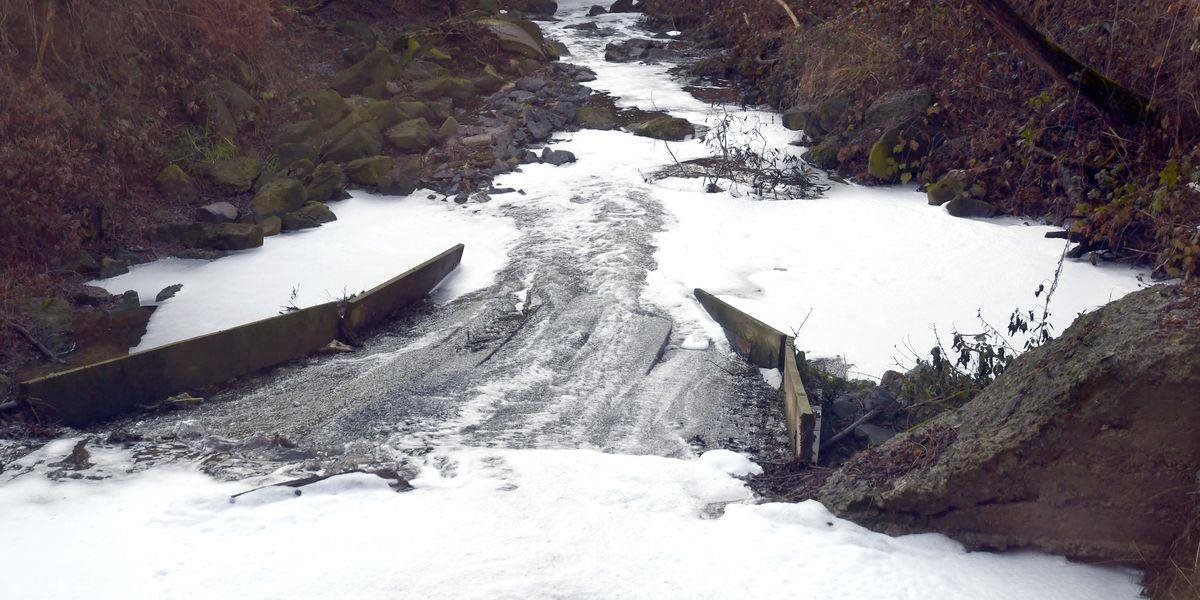 Kyjovský potok v Nižnom Hrušove opakovane nadmerne pení: Je za tým kontaminácia?