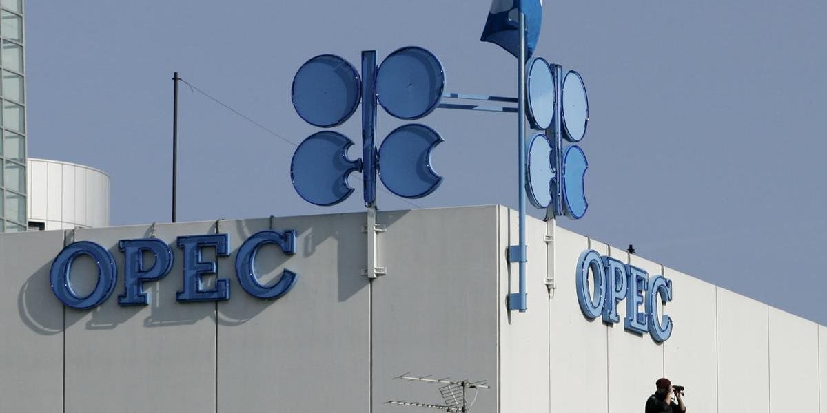 Kartel OPEC výrazne obmedzil produkciu už v decembri
