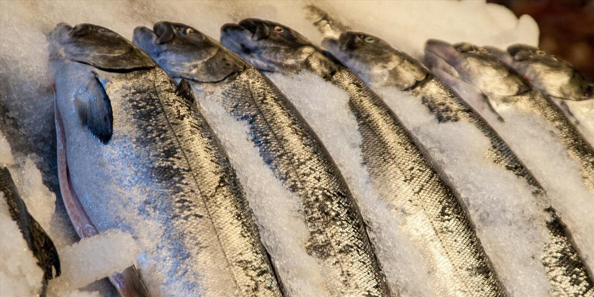 Zápach rýb neďaleko Brooklynského mostu spôsobil tragédiu