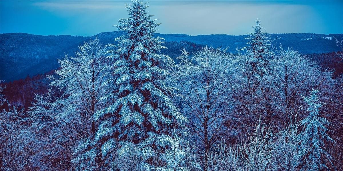 Slovensko čaká mrazivá noc, teplota môže klesnúť až na -19 stupňov Celzia