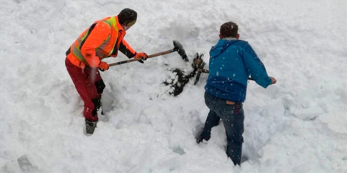 VIDEO V Rakúsku pri vlakovej trati zasypal kamzíka sneh, zachraňovali ho železničiari