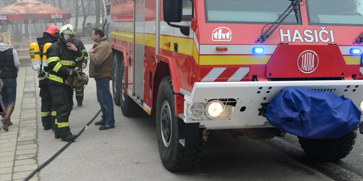 Najkurióznejším zásahom hasičov v Trenčianskom kraji bola záchrana jeleňa uviaznutého v ľade