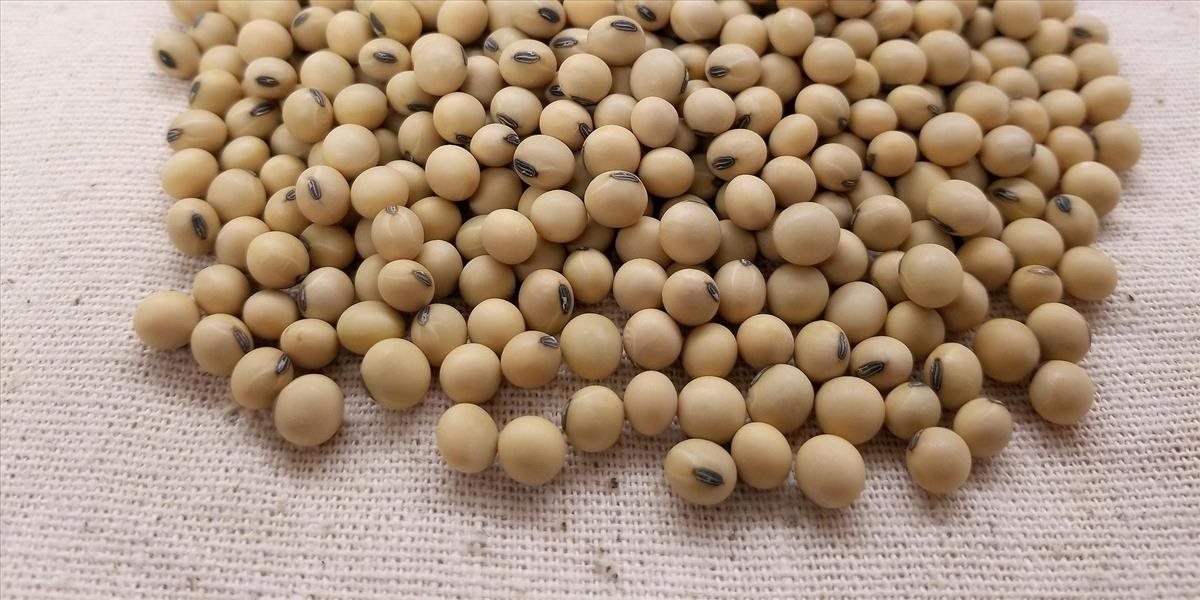 Sójové bôby z USA môžu byť použité v biopalivách v EÚ
