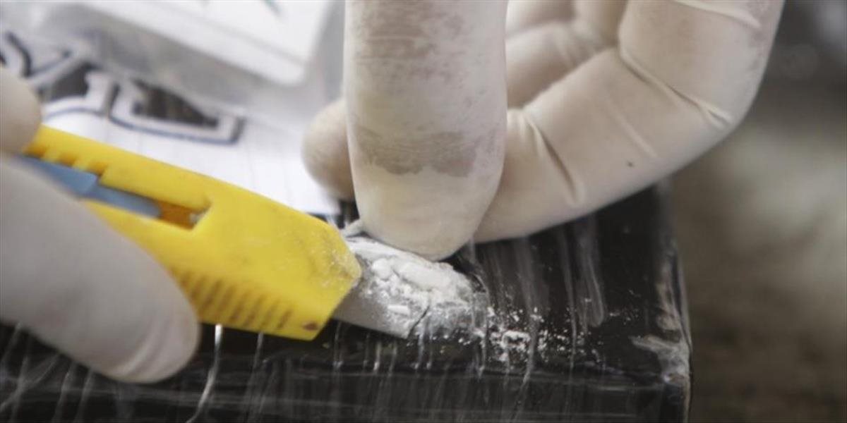 Polícia v Taliansku zhabala dve tony kokaínu z Kolumbie za 500 miliónov eur