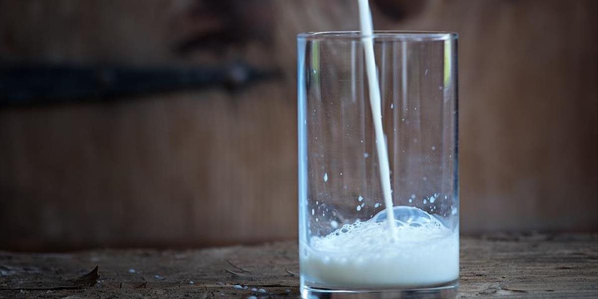 Mliekari zo Slovenska budú svoje produkty vyvážať do Číny