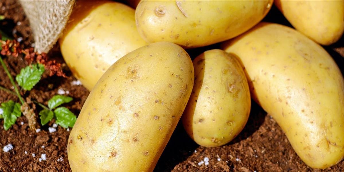 Polícia zneškodnila granát z prvej svetovej vojny, nájdený v zemiakoch