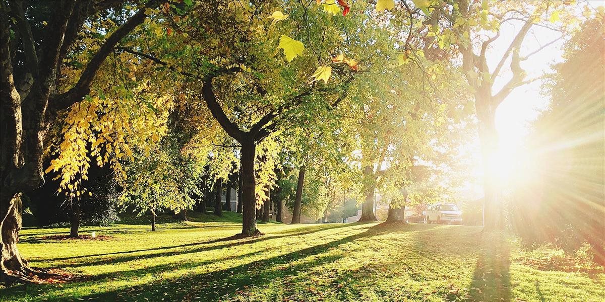 Bratislava bude mať svoj Central park: Nachádzať by sa mal tu!
