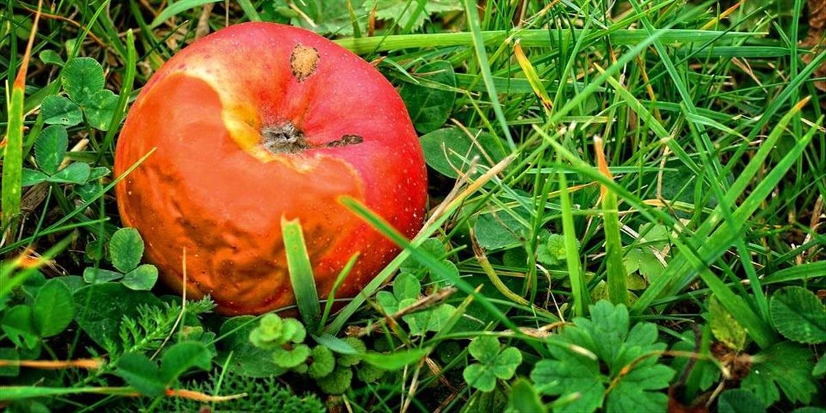 Pozor na pleseň, ak napadne tieto potraviny, rozhodne ich nekonzumujte!