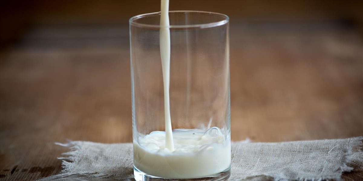 Mliekari: Podiel mliečnych výrobkov zo SR vo verejnom stravovaní je potrebné zvýšiť