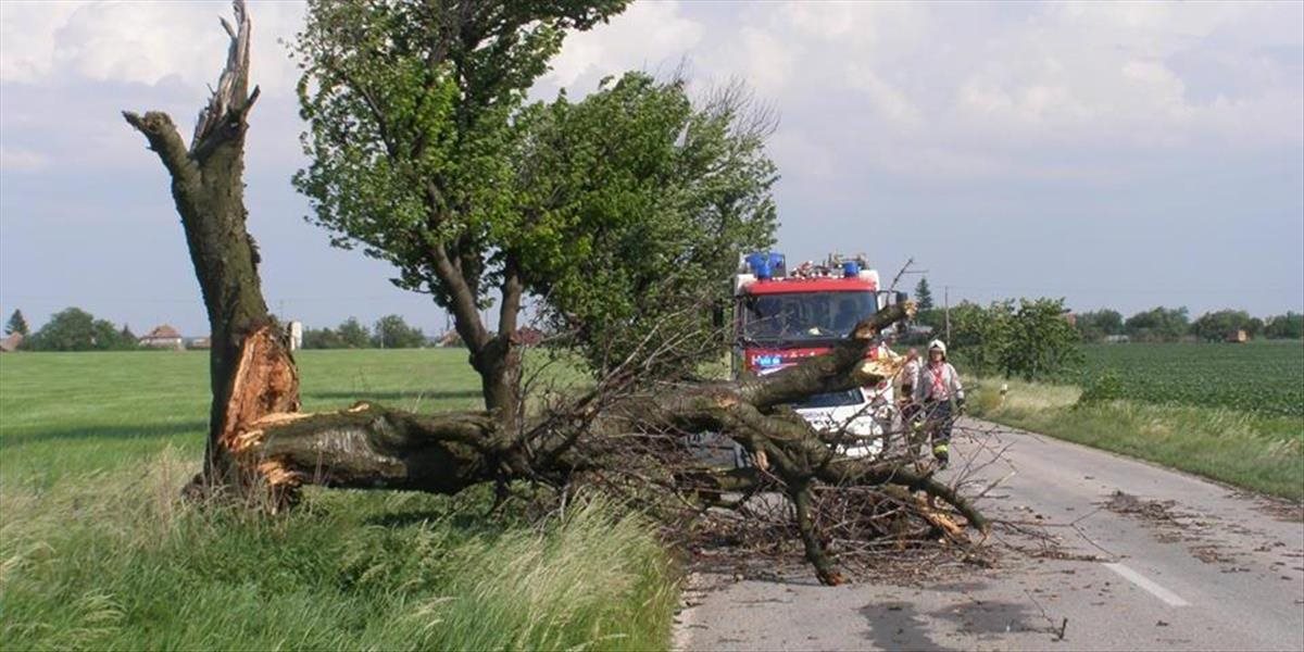 Hasiči v Bratislavskom kraji zasahujú pri popadaných stromoch