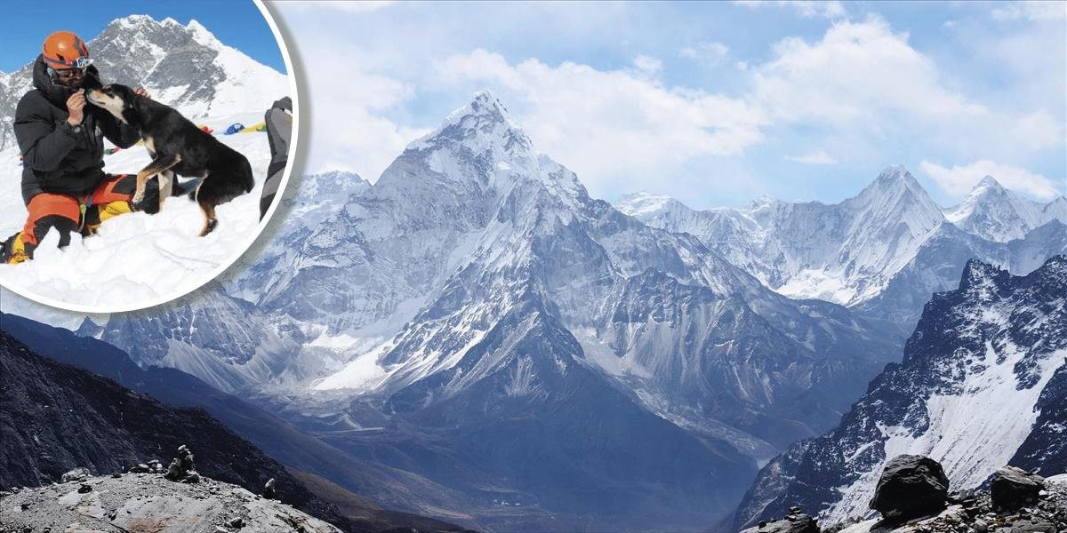 FOTO: Expedície do Himalájí sa zúčastnil aj potulný psík
