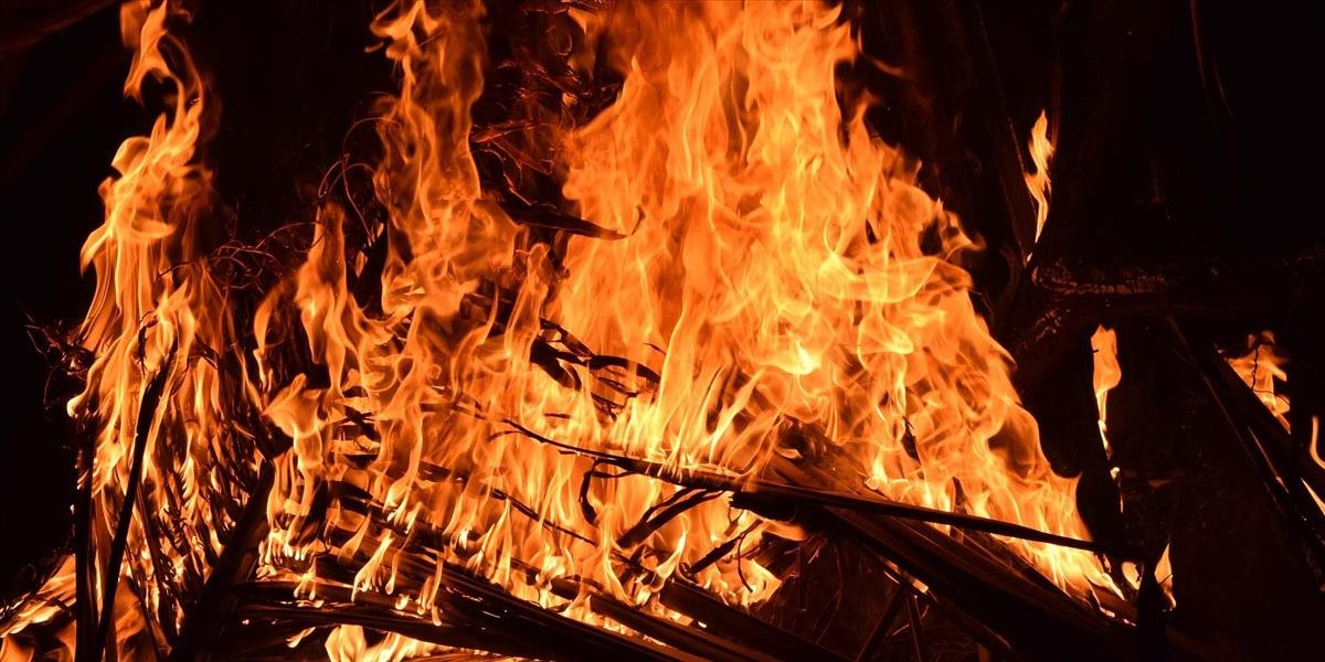 Hasiči lokalizovali požiar v priestore bratislavských mestských lesov