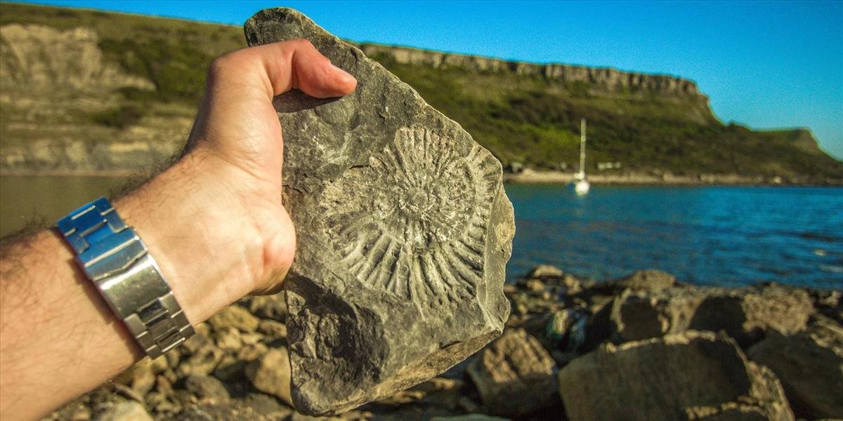 Paleontológovia objavili tisícky výnimočných fosílií