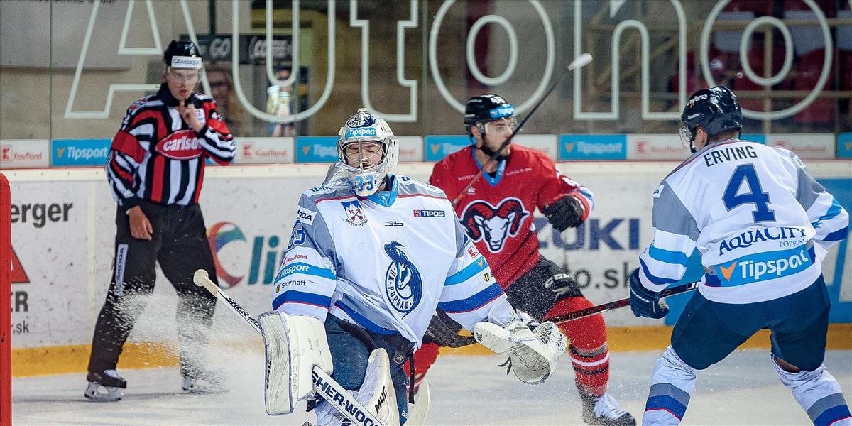 Slovenská asociácia hráčov ľadového hokeja chce rokovať o jednotných hráčskych zmluvách
