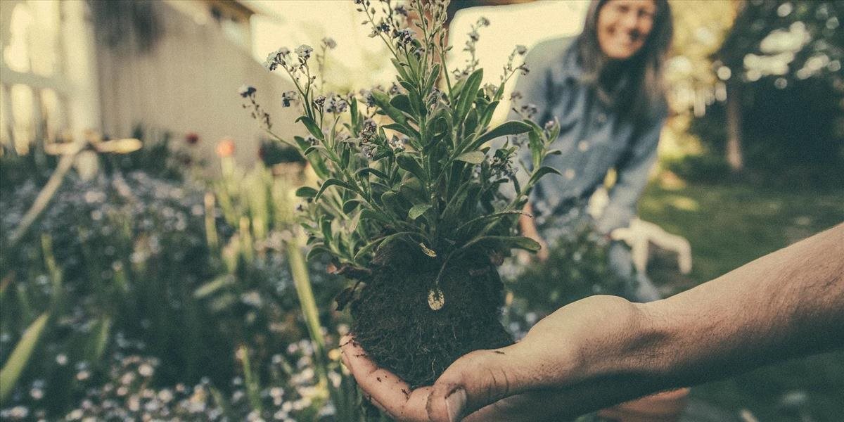 AGROKRUH: Revolučné  organické pestovanie zeleniny