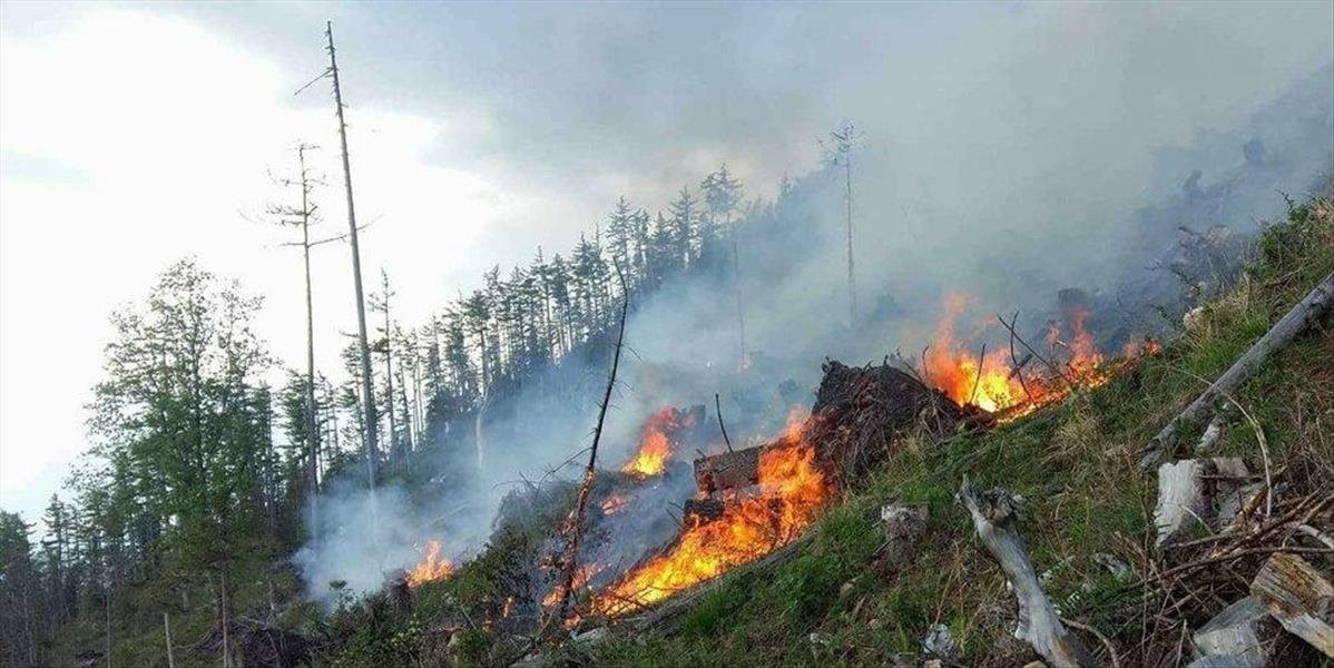 Vo Vysokých Tatrách horí les, hasia ho desiatky hasičov