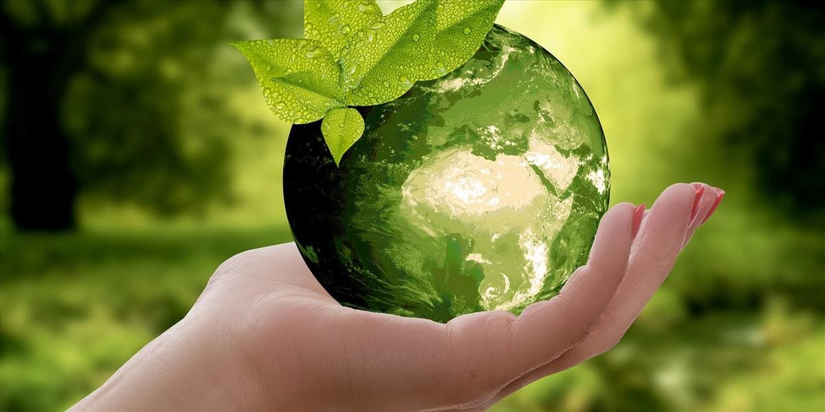 Vzdelávanie v rámci trvalo udržateľného rozvoja je veľmi dôležité. Práve preto vznikol nápad na Svedomito fest