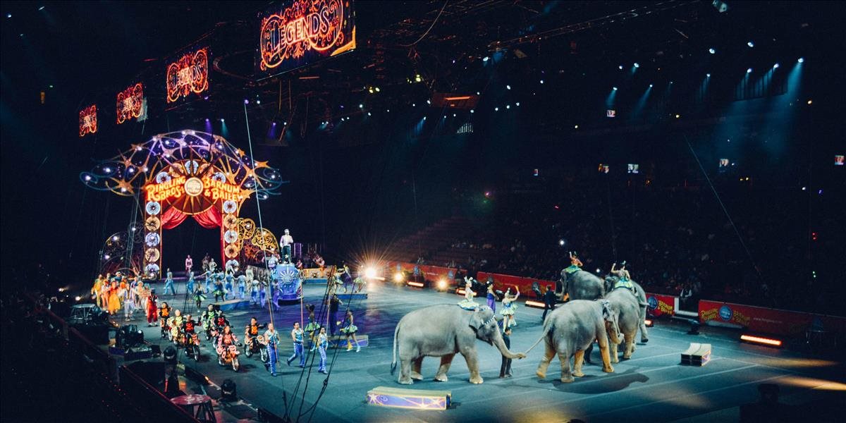V cirkusoch na Slovensku nebudú môcť vystupovať niektoré zvieratá