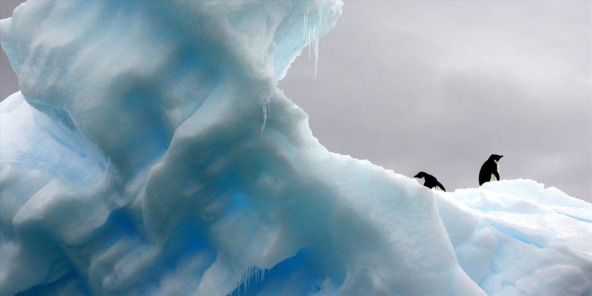 V Antarktíde zmizla obria kolónia tučniakov