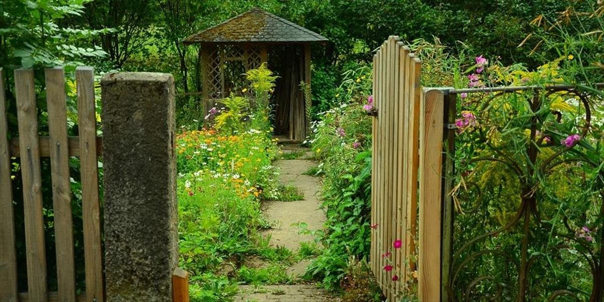 VIDEO: Američan si nezavrel bránu, na dvore ho čakalo prekvapenie