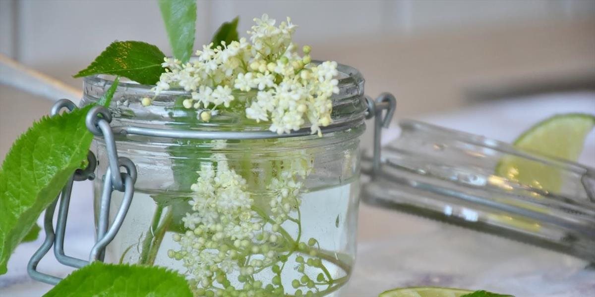 Liečivá, voňavá a chutná - to je baza