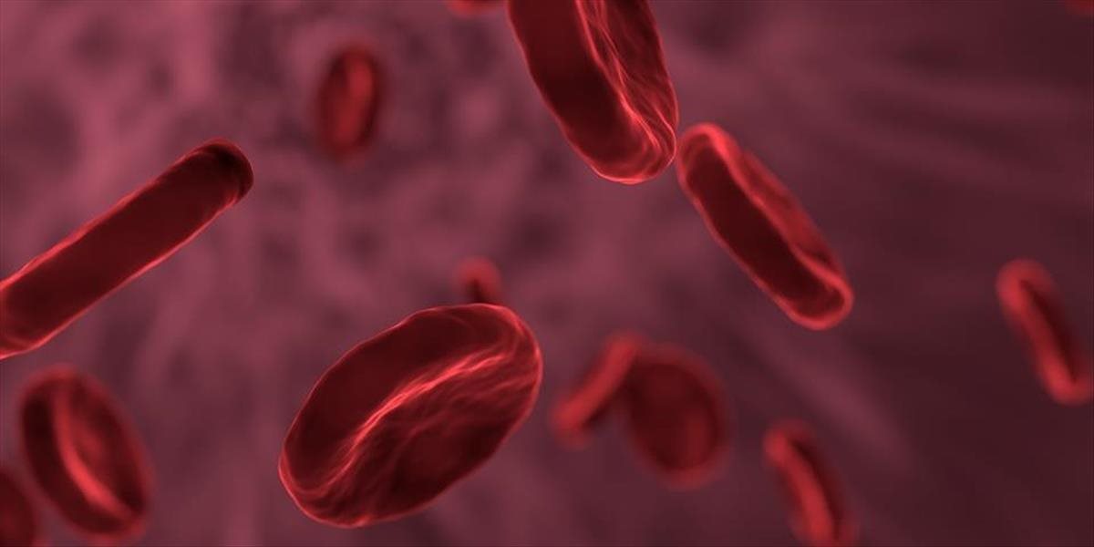 Vedci vytvoria krv, ktorú prijme každý organizmus
