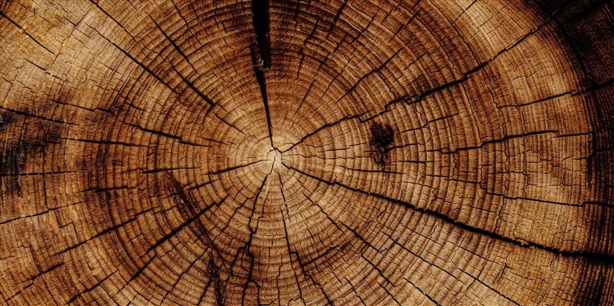 Regulačný úrad prijal požiadavky VLKa k označovaniu pôvodu dreva na štiepku