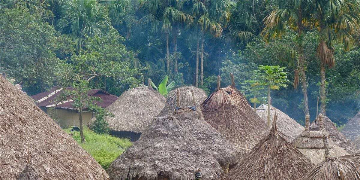 Každú minútu zmizne amazonský prales vo veľkosti futbalového ihriska