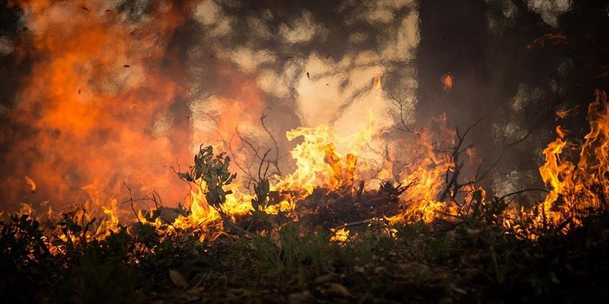 V blízkosti Atén sa rozhorel rozsiahly lesný požiar