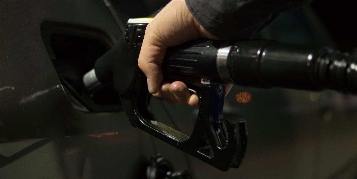 Motoristická sezóna bráni výraznejšiemu poklesu cien benzínov a nafty
