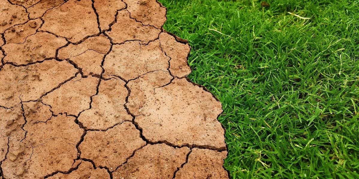 Nový projekt má ukázať, ako cez stravu bojovať proti klimatickým zmenám