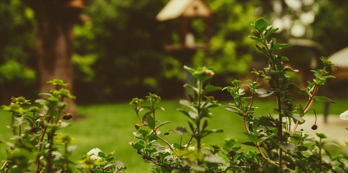 Majitelia záhrad sú povinní predchádzať vzniku bioodpadu