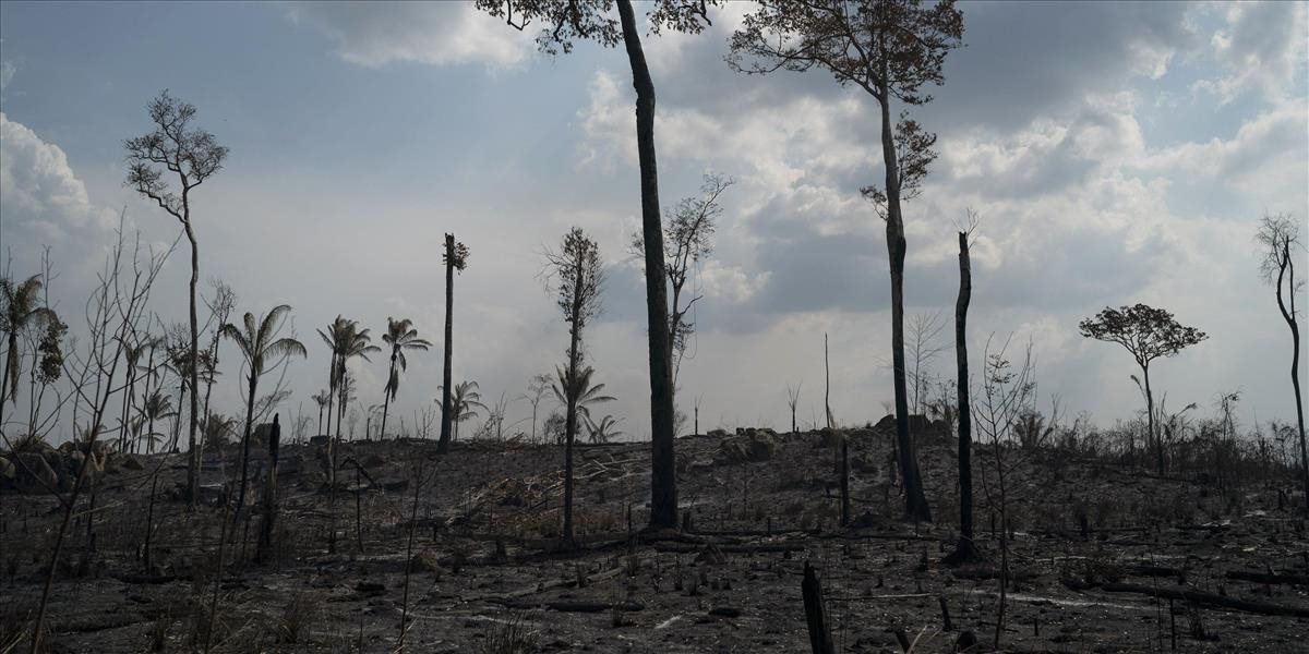 G7 chce Brazílii pomôcť s obnovou dažďového pralesa
