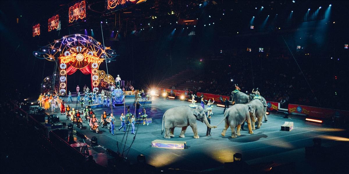 Dánsko kúpi štyri cirkusové slony aby ich poslalo odpočívať