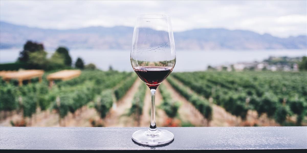 Ak chcú vinári väčšiu podporu od štátu, mali by zvýšiť export vína